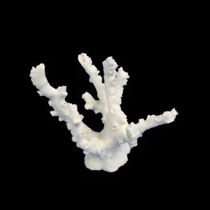 Weco Products South Pacific Coral Octopus Ornament White, Small