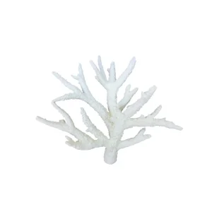 Weco Products South Pacific Coral Staghorn Ornament White, Medium