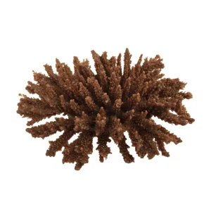 Weco Products South Pacific Coral Tabletop Ornament Brown, Small