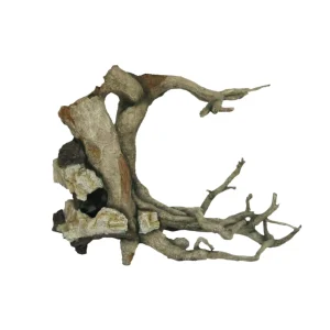 Weco Products Wecorama Aquarama Witch Tree Show Grey, Brown