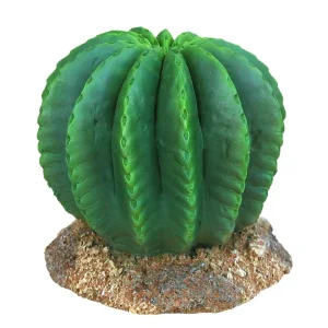 Weco Wecorama Badlands Golden Barrel Cactus Terrarium Ornament Brown, Green 3 in