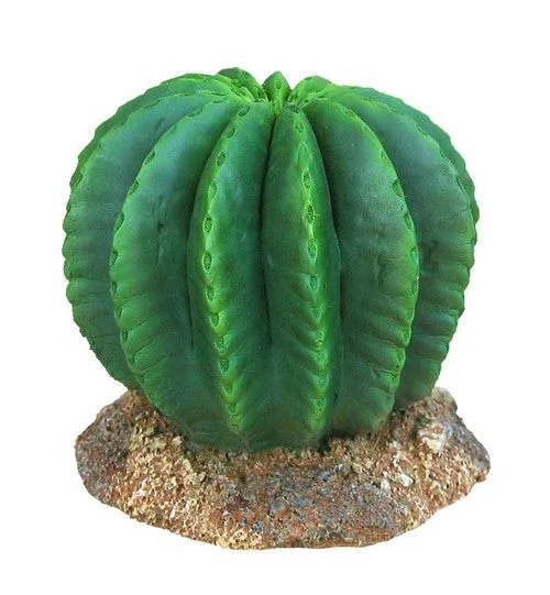 Weco Wecorama Badlands Golden Barrel Cactus Terrarium Ornament Brown, Green 3 in - Image 2
