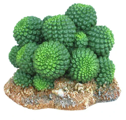 Weco Wecorama Badlands Sonoran Cactus Terrarium Ornament Brown, Green 2.92 in - Image 2