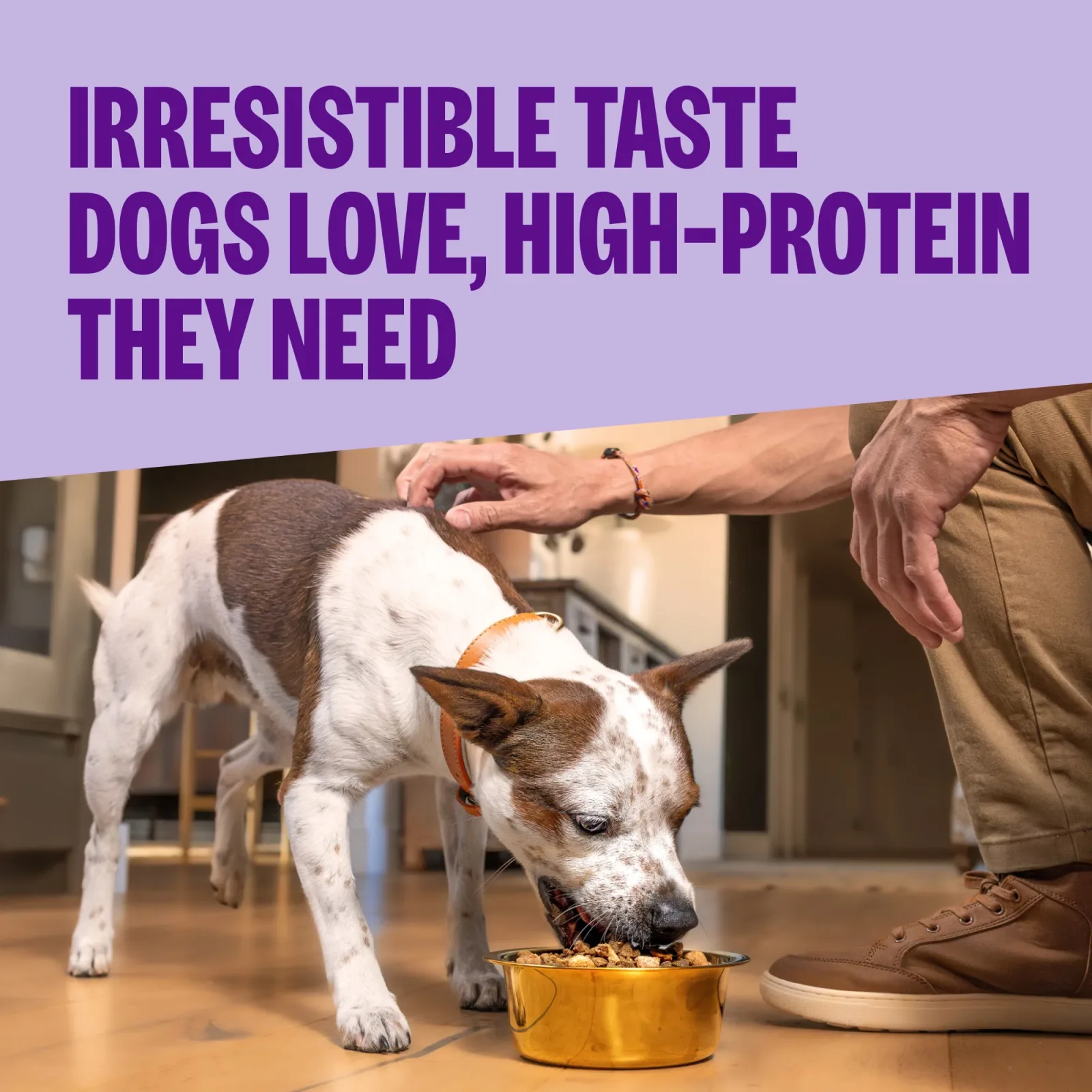 Wellness CORE+ (Formerly RawRev) Dry Dog Food with Freeze Dried Pieces, Wholesome Grains, High Protein, Natural, Beef & Barley Recipe, (4-Pound Bag) - Image 2