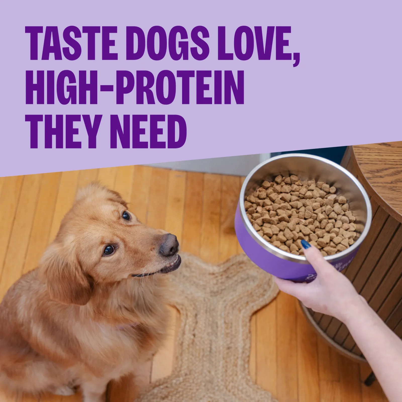 Wellness CORE Natural Grain Free Ocean Whitefish, Herring & Salmon Recipe Dry Dog Food - Image 2