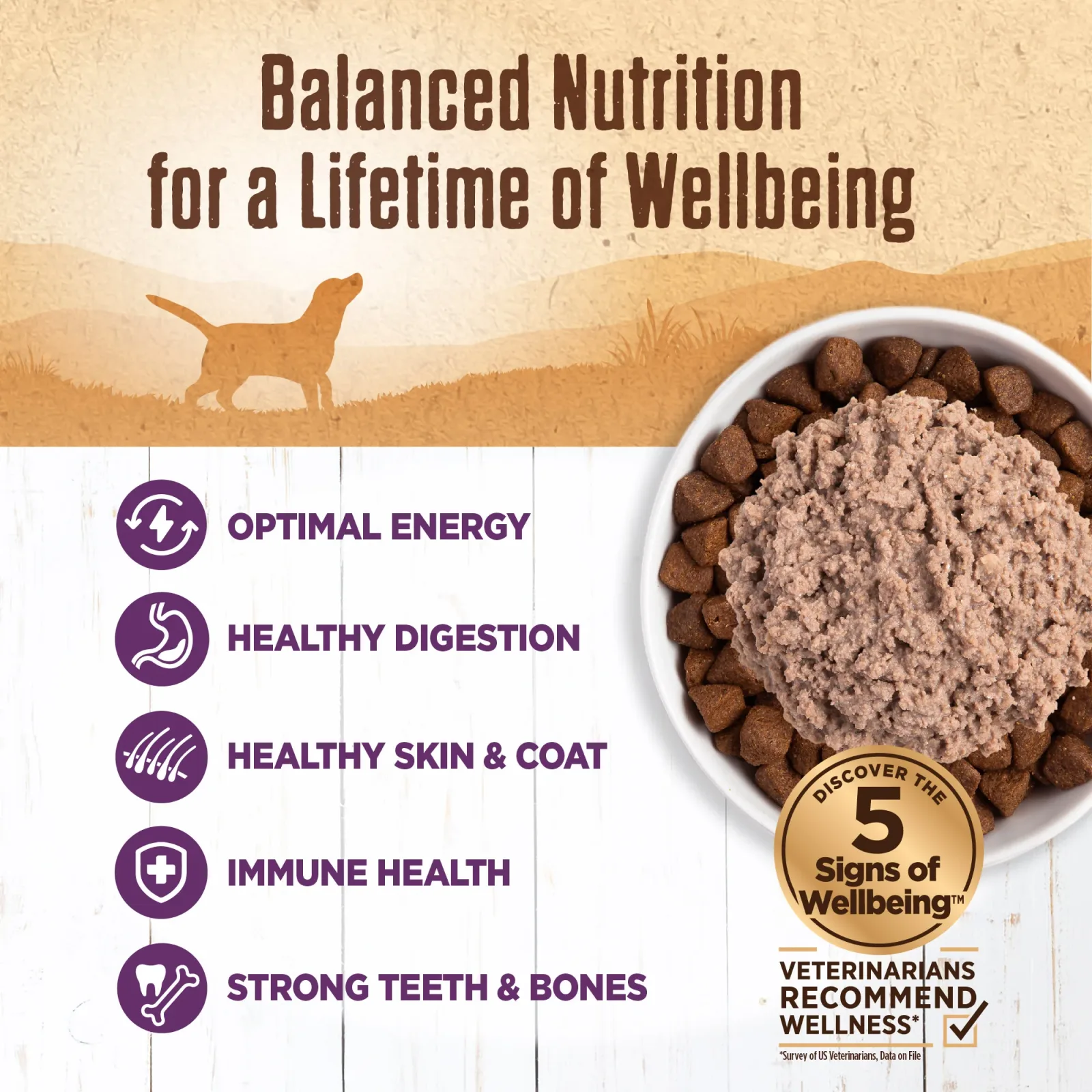 Wellness Natural Grain Free 95% Chicken Recipe Adult Wet Canned Dog Food - Image 2