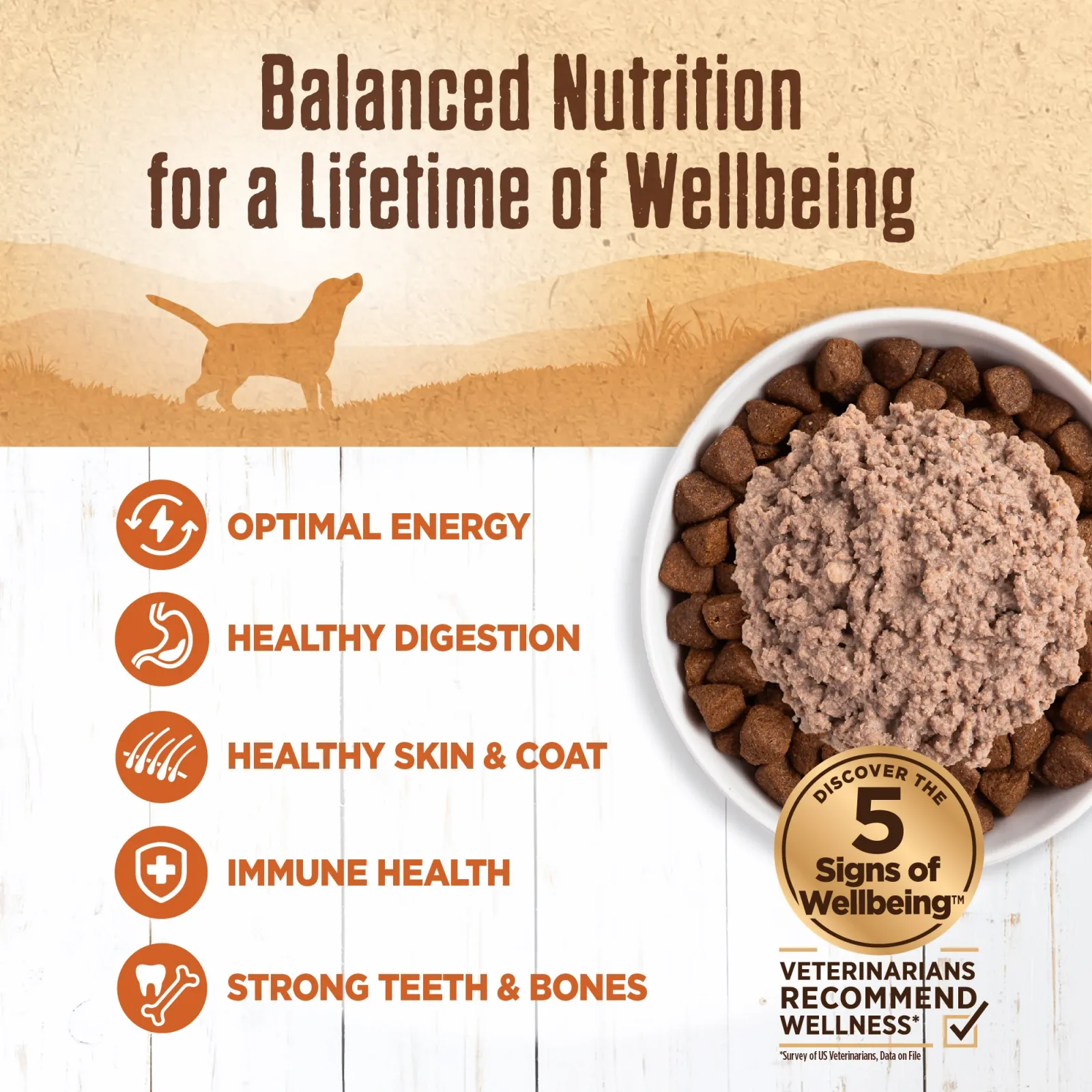 Wellness Natural Grain Free Adult 95% Turkey Canned Dog Food - Image 2
