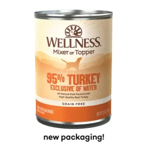 Wellness Ninety