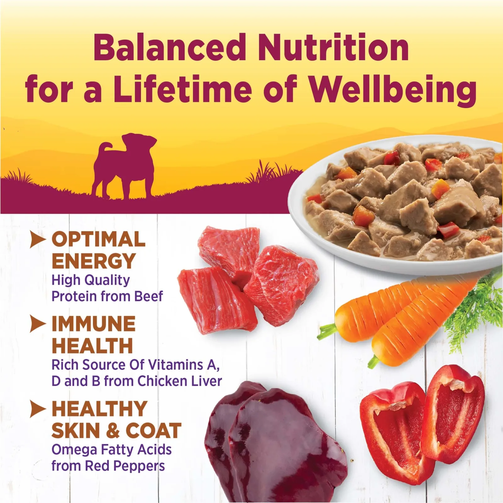 Wellness Petite Entrées Mini-Filets With Roasted Beef, Carrots & Red Peppers in Gravy, 3-Ounce Cup - Image 2