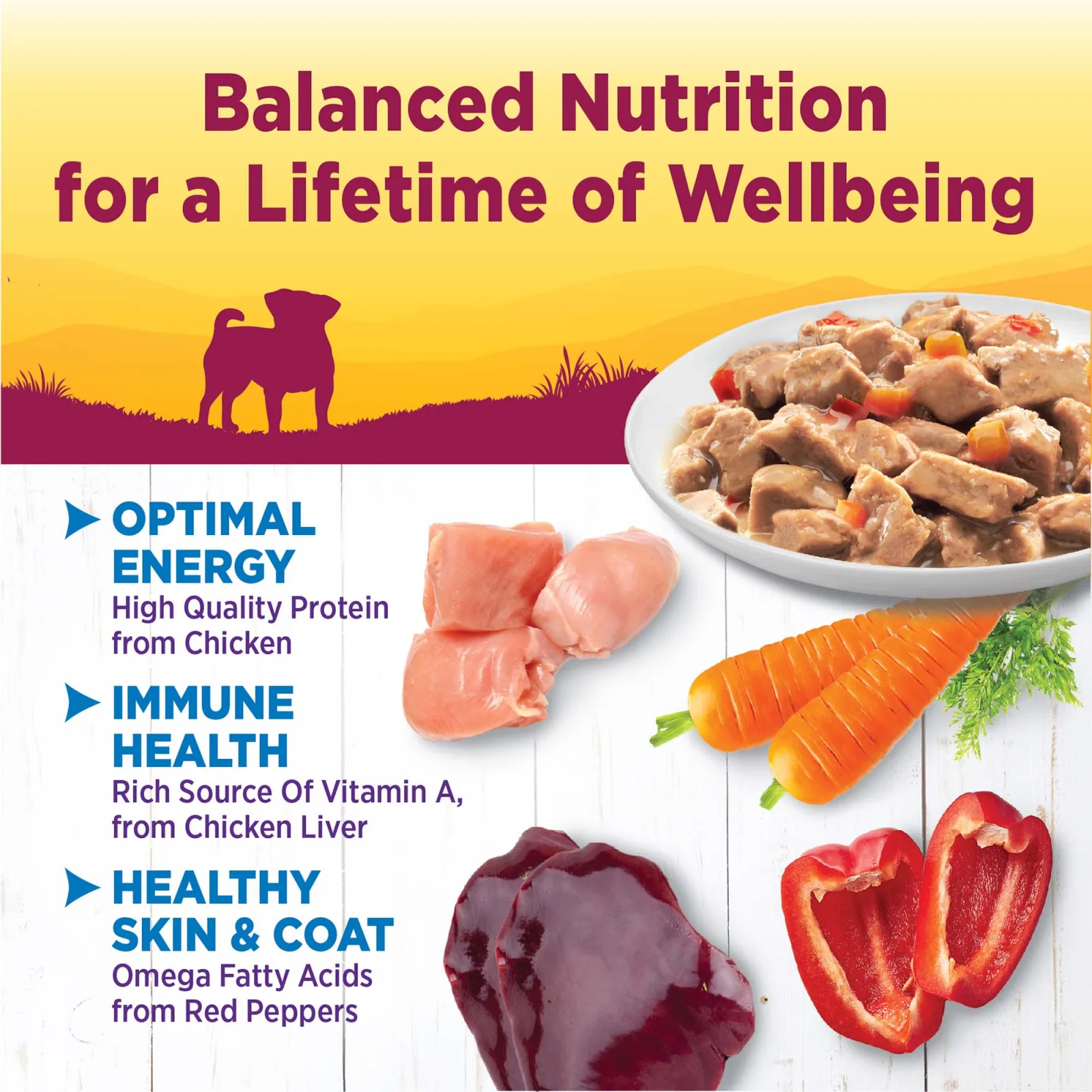 Wellness Petite Entrées Mini-Filets With Roasted Chicken, Carrots & Red Peppers in Gravy, 3-Ounce Cup - Image 2