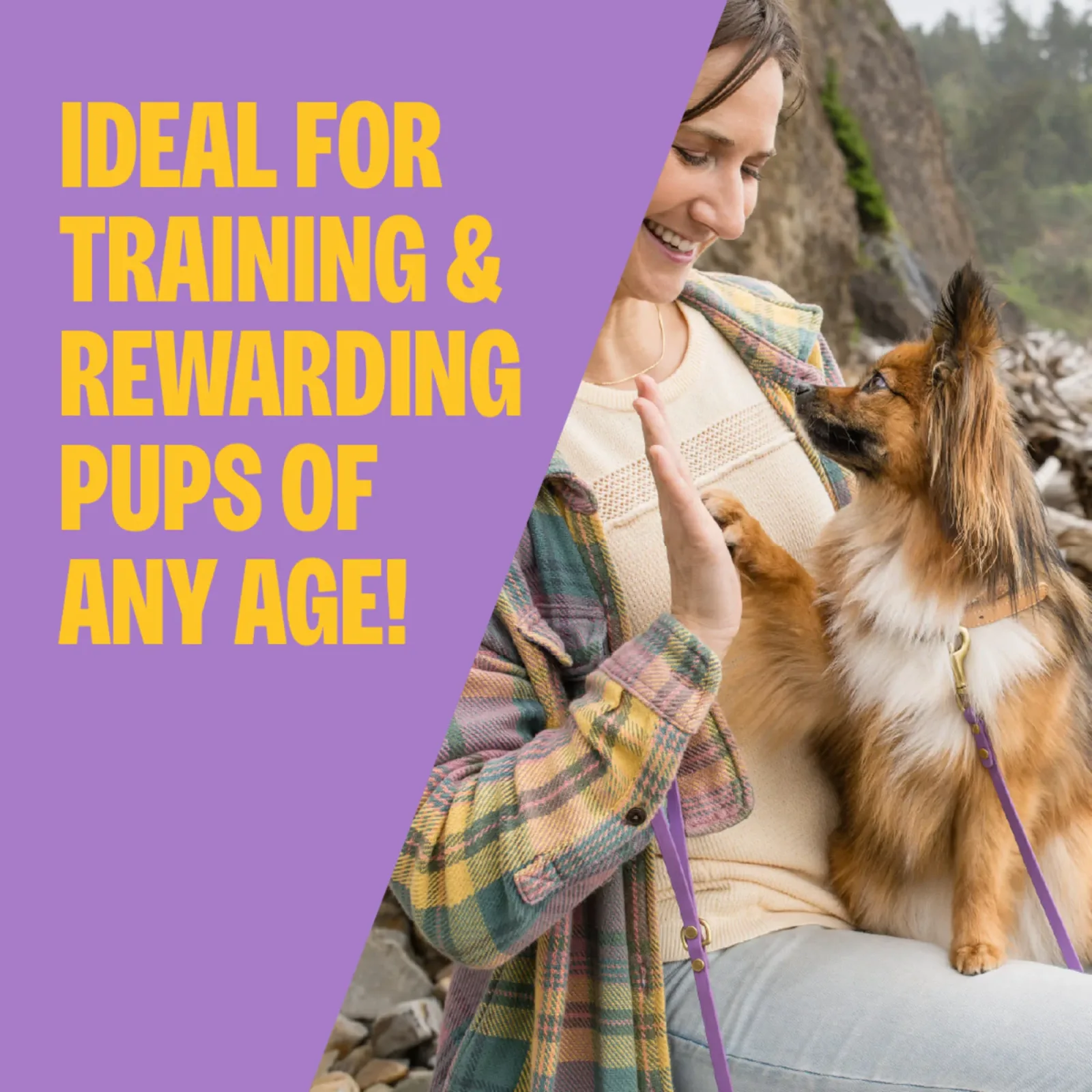 Wellness Soft Puppy Bites Lamb & Salmon Recipe Dog Treats - Image 2