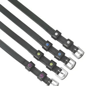 Western SS Engraved 10pt Ladies Roping Spurs
