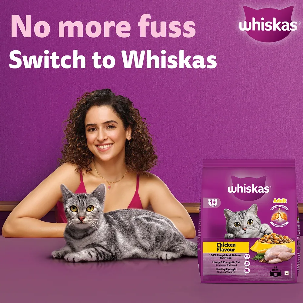 Whiskas Chicken Flavour Cat (Adult 1+) Dry Food - Image 2