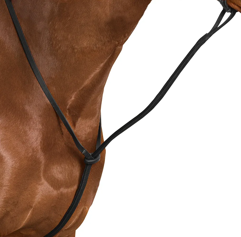 Wintec Standing Martingale - Image 2