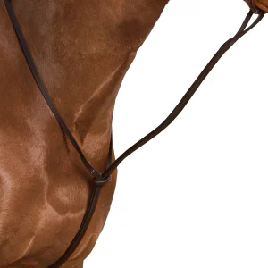 Wintec Standing Martingale