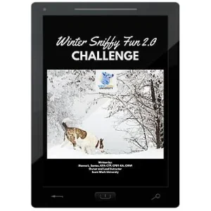 Winter Sniffy Fun 2.0 Challenge E