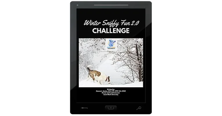Winter Sniffy Fun 2.0 Challenge E