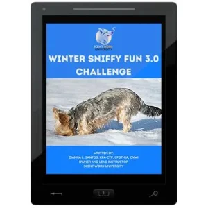 Winter Sniffy Fun 3.0 Challenge E