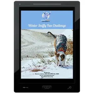 Winter Sniffy Fun Challenge E