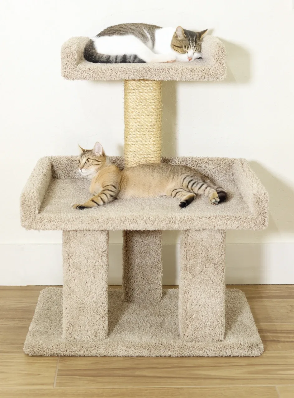 XL Cat Perch with Extra-Wide Platform for Large Cats
