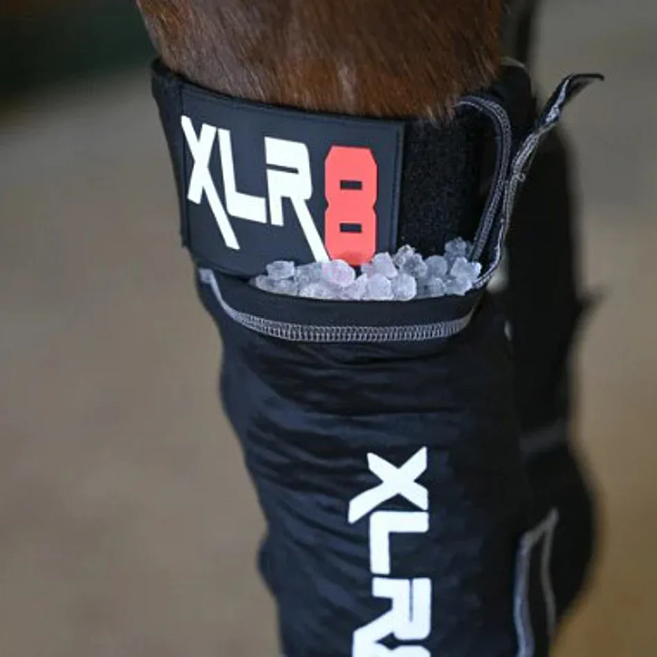 Xlr8 Equine Cryo Ice Boots Hind - Image 2