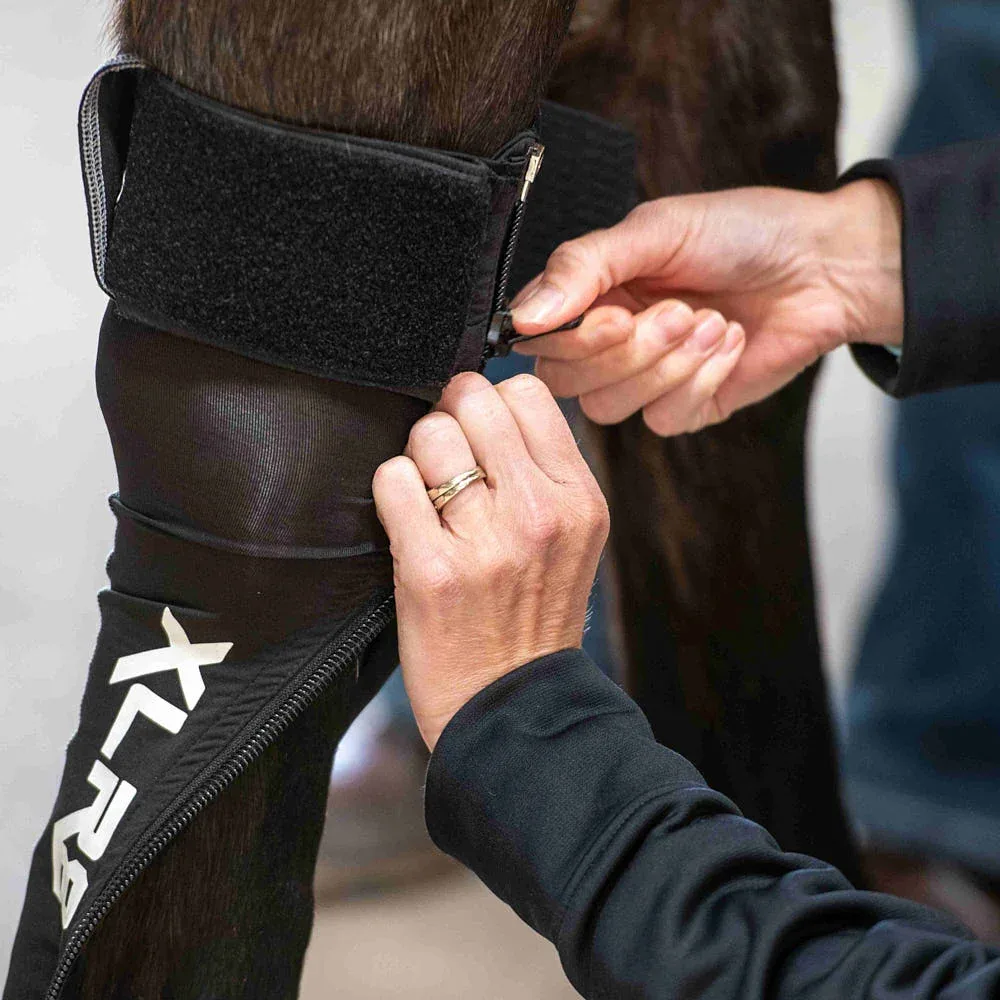 Xlr8 Equine G-Force Compression Front Boots - Image 2