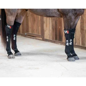 Xlr8 Equine G-Force Compression Hind Boots