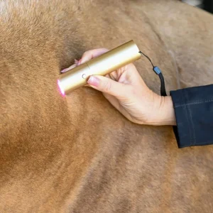 Xlr8 Equine Ignite Handheld Therapy Light