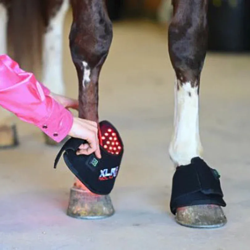 Xlr8 Equine Redline Bell Boot Pair
