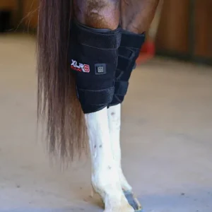 Xlr8 Equine Redline Hock Boot Pair