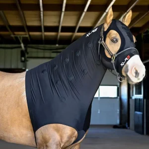 Xlr8 Equine Velocity Hood