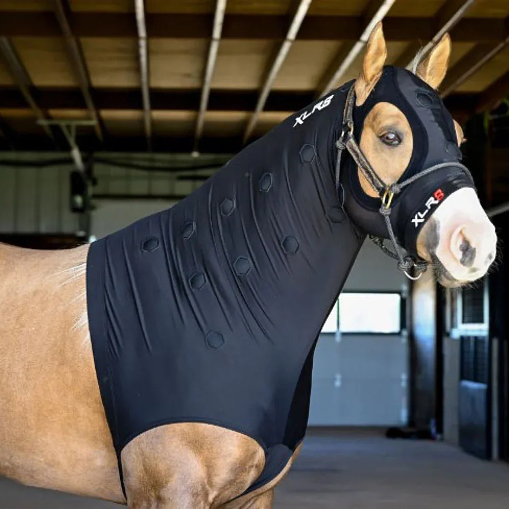 Xlr8 Equine Velocity Hood