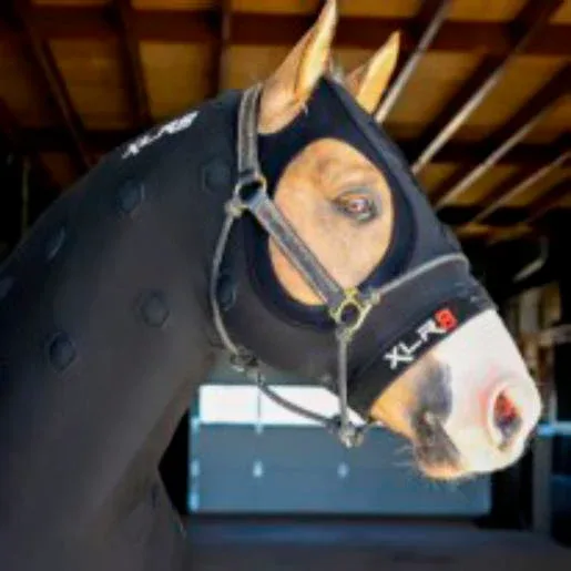 Xlr8 Equine Velocity Hood - Image 2