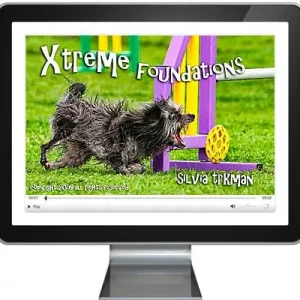 Xtreme Foundations