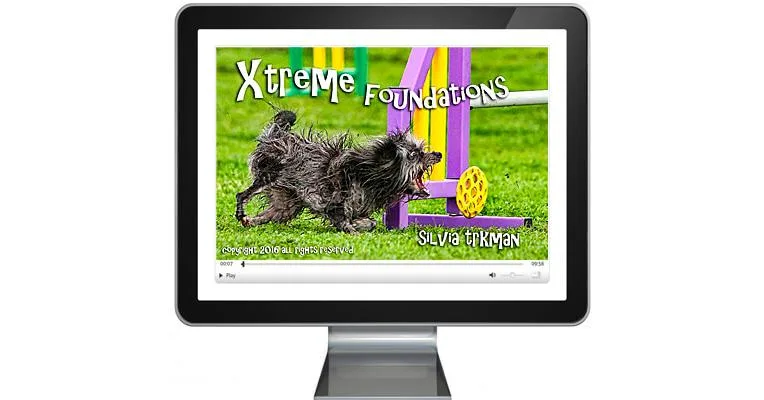 Xtreme Foundations