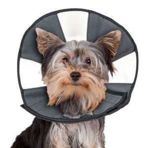 ZenCone Soft Recovery Dog & Cat Collar