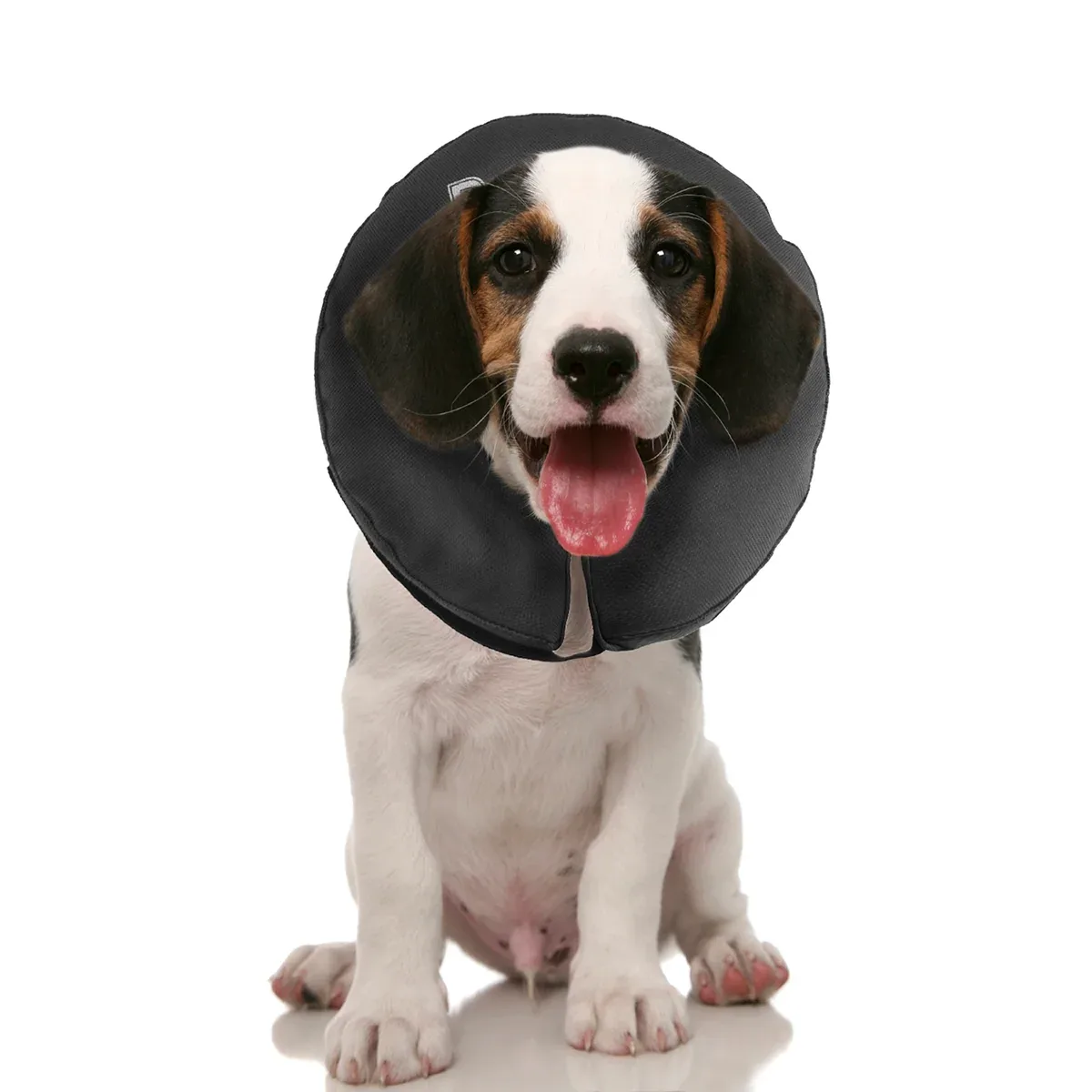ZenPet ZenCollar The Original Inflatable Recovery Collar for Dogs - Image 2