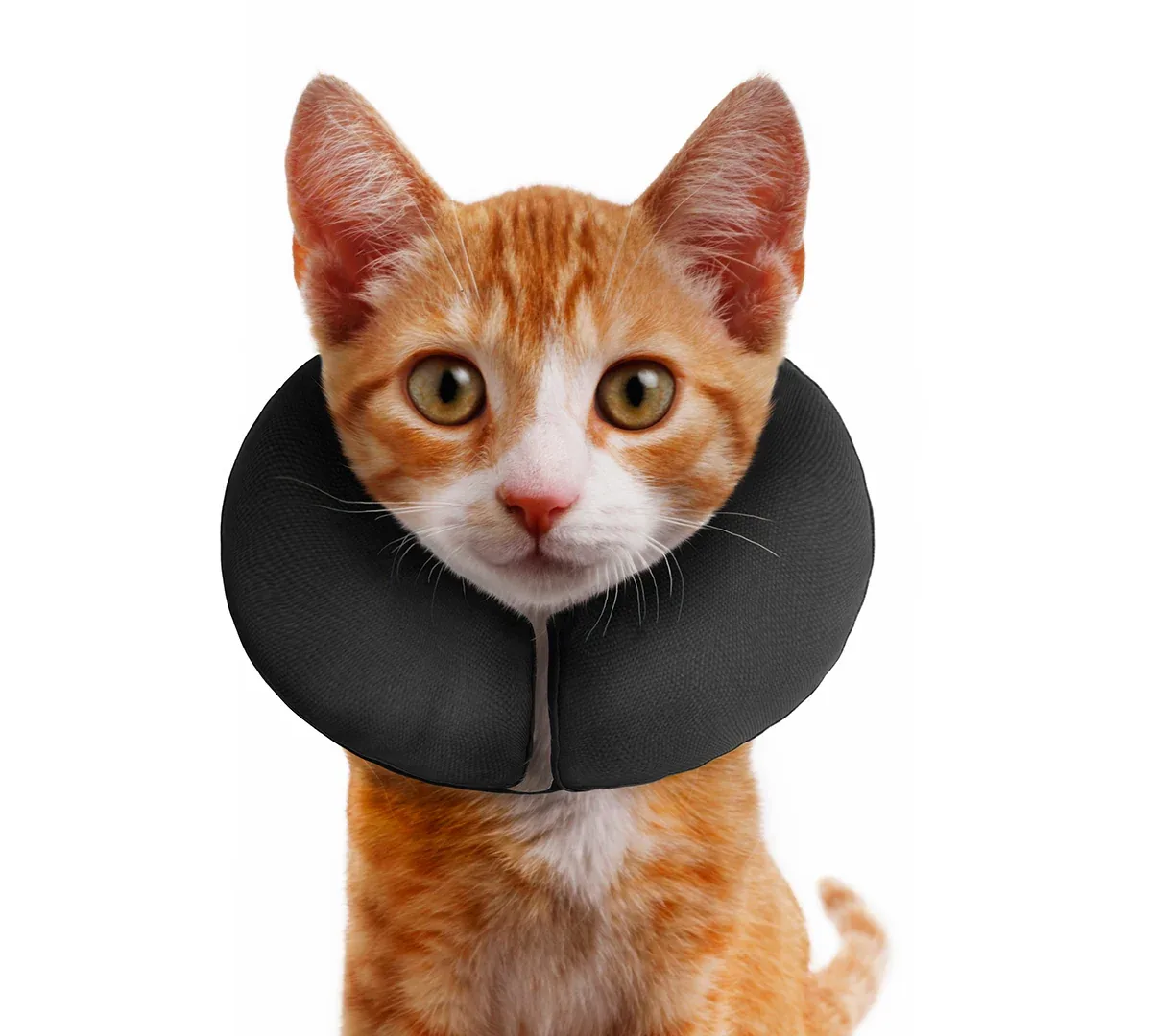 ZenPet ZenCollar The Original Inflatable Recovery Collar for Dogs & Cats - Image 2