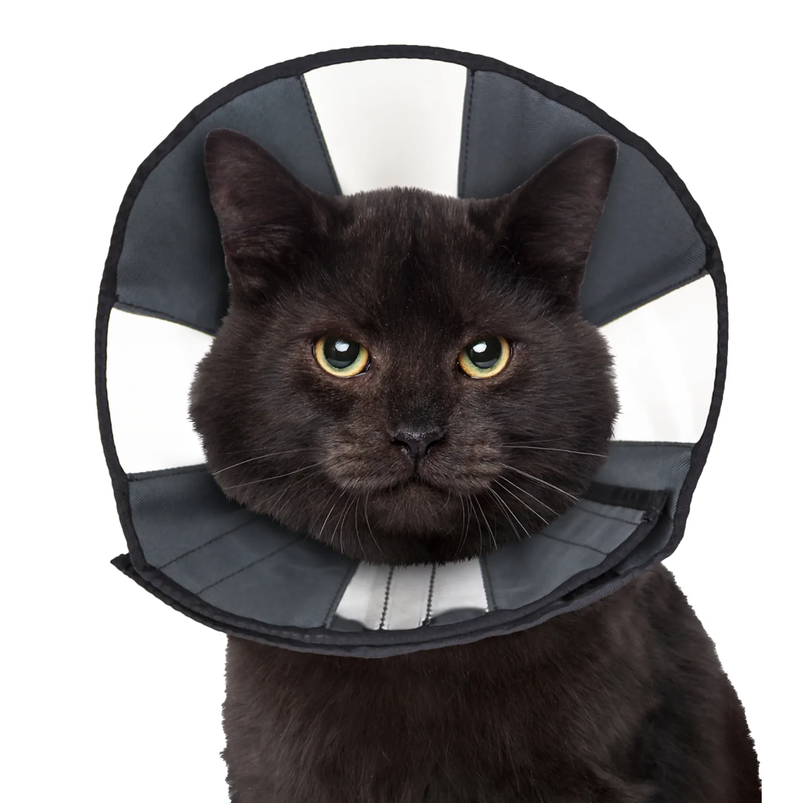 ZenPet ZenCone Original Soft Recovery Cone for Dogs and Cats - Image 2