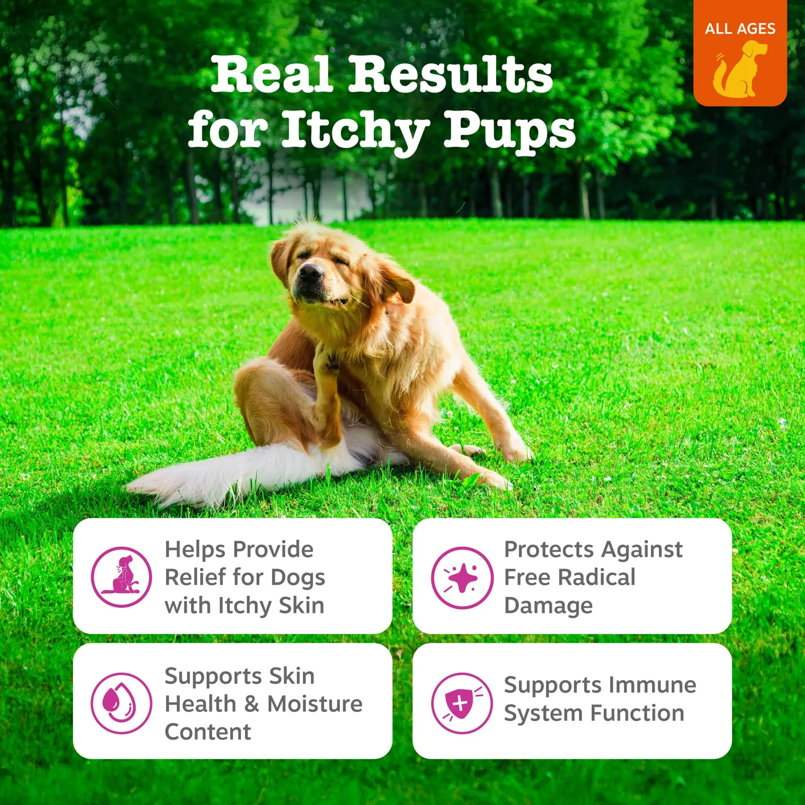 Zesty Paws Itch Relief Bites, Chicken Flavor, 90ct for Dogs - Image 2