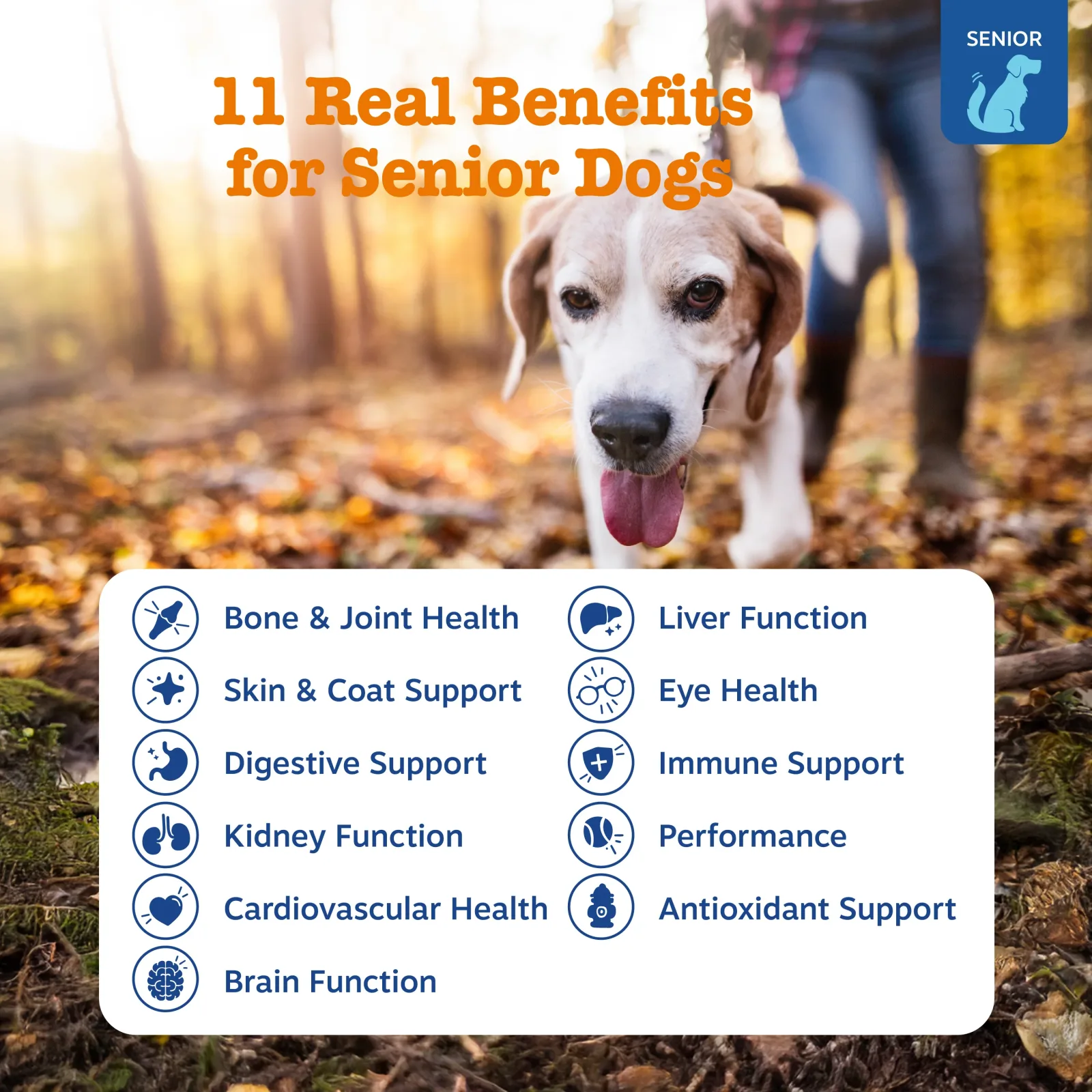 Zesty Paws Senior Advanced 11-in-1 Multivitamin Bites, Chicken Flavor, 90ct for Dogs - Image 2