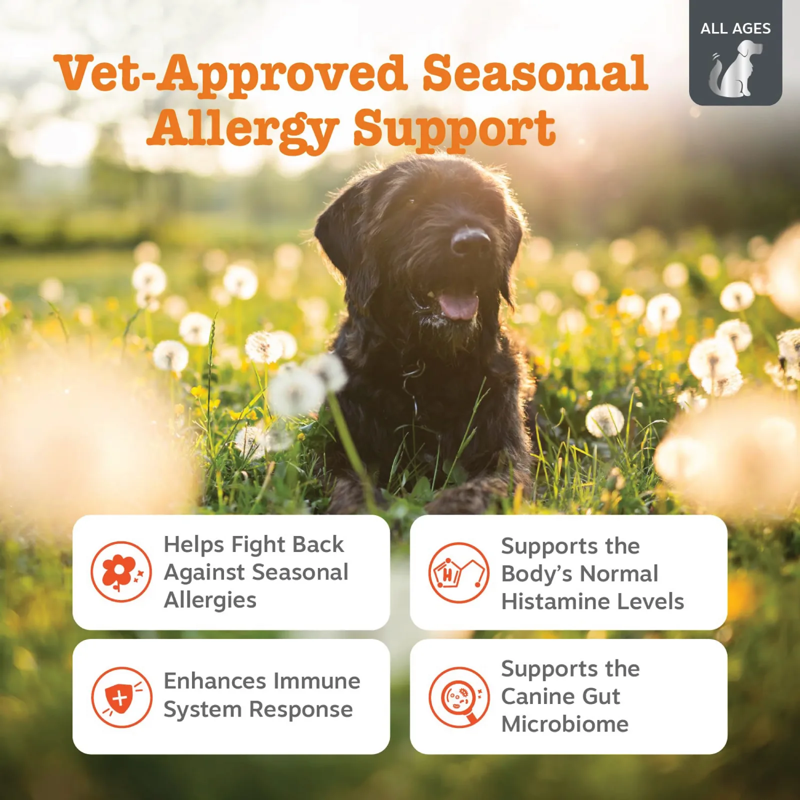 Zesty Paws Vet Strength Allergy & Immune Bites, Smoked Cheese Flavor, 90ct for Dogs - Image 2