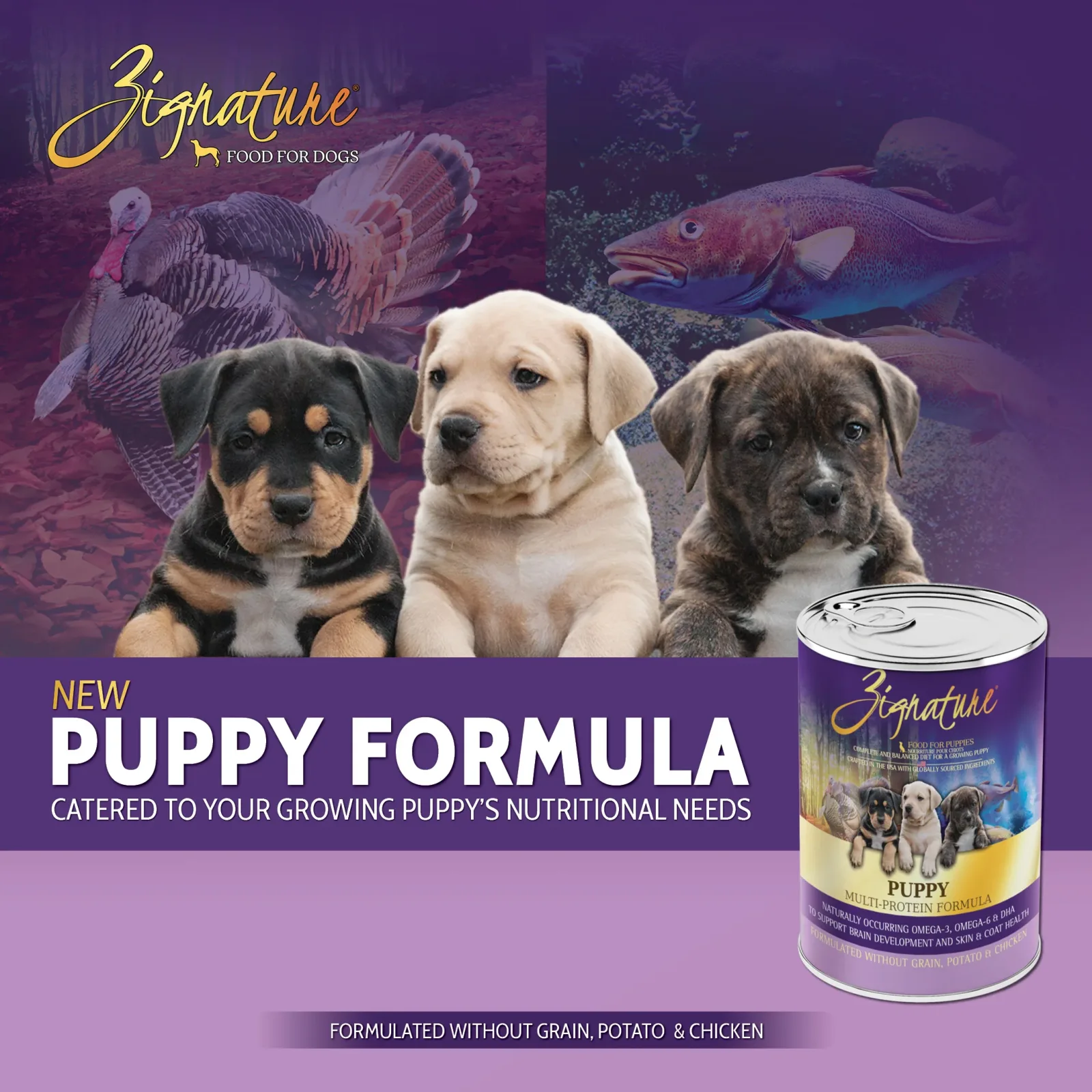 Zignature Limited Ingredient Puppy Formula Dog Food - 13oz - Image 2