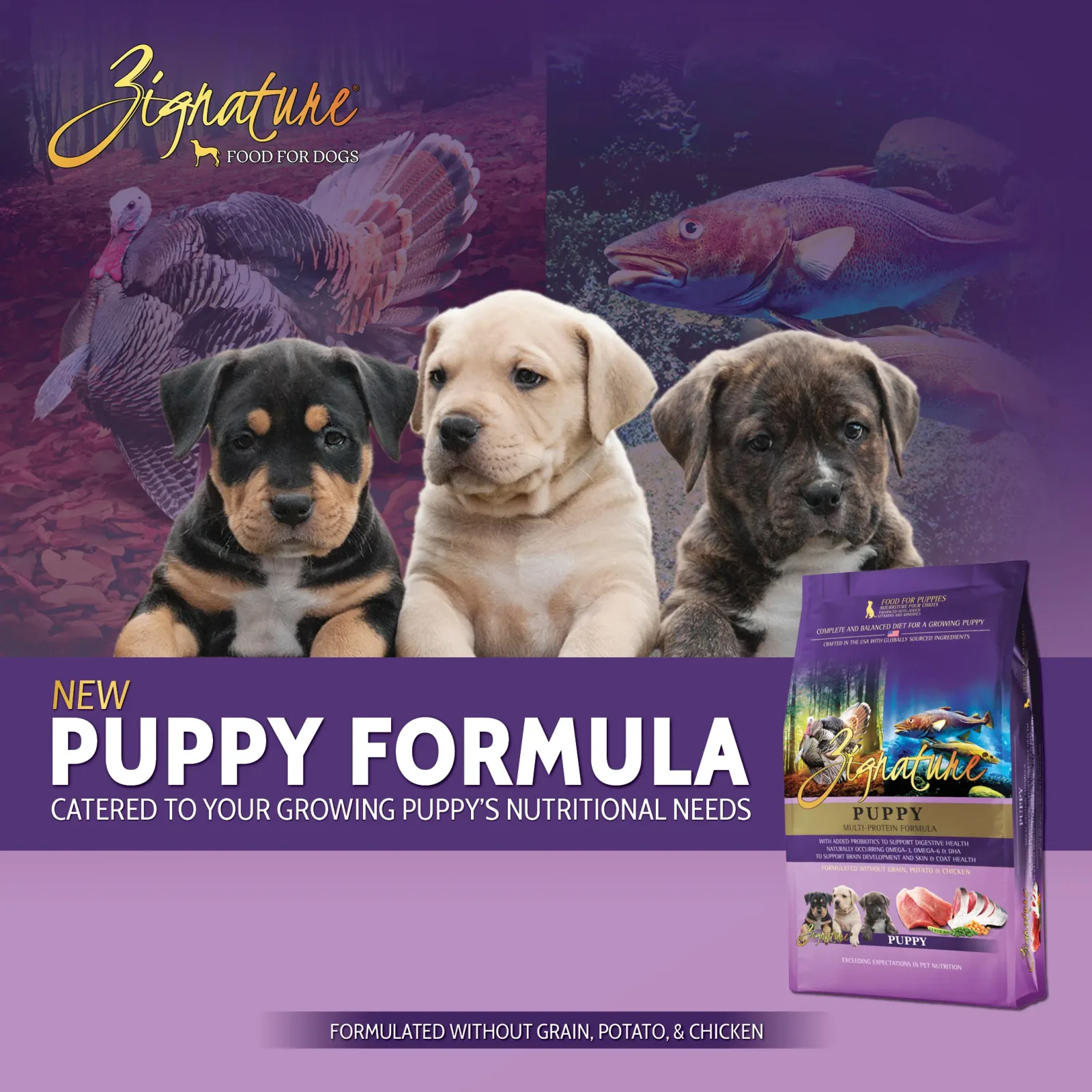 Zignature Limited Ingredient Puppy Formula Dog Food - 4lb - Image 2