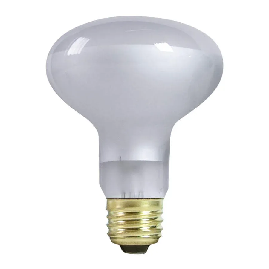 Zilla Incandescent Spot Bulb Day, White, 100W - Image 2
