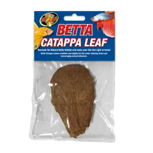 ZM Betta Catappa Leaf