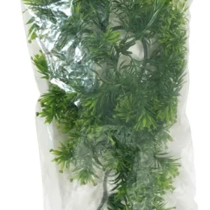 Zoo Med Natural Bush Borneo Star Plants Green 14 in, Small
