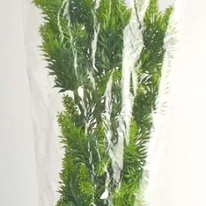 Zoo Med Natural Bush Malaysian Fern Plants Green 22 in, Large