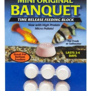 Zoo Med Original Banquet Fish Feeding Block 0.3 oz Mini
