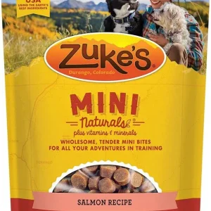 Zukes Mini Naturals Dog Treat - Savory Salmon Recipe